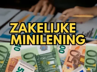 Zakelijke Minilening: Snel en Eenvoudig Zakelijk Lenen