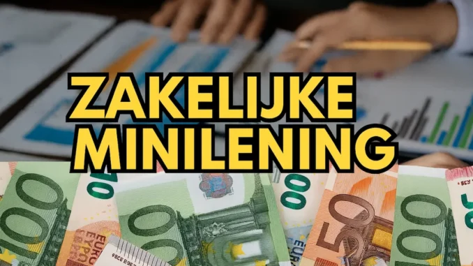 Zakelijke Minilening- Snel en Eenvoudig Zakelijk Lenen Zakelijke Minilening: Snel en Eenvoudig Zakelijk Lenen